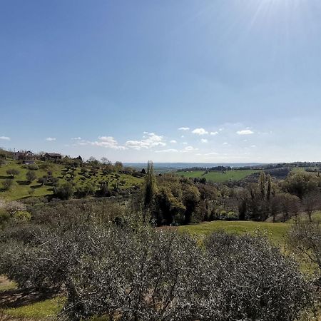 Casale Ariella Patricio Villa Mombaroccio Dış mekan fotoğraf